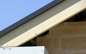 Bedchester fascia repairs