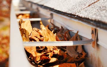 Bedchester gutter cleaning companies