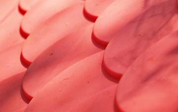 Bedchester plastic roof costs